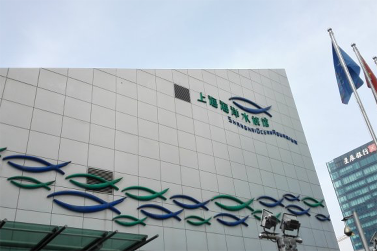 游上海海洋水族馆